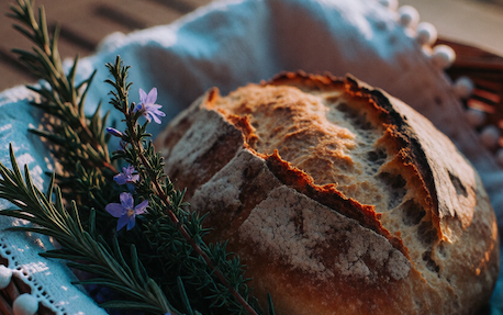 Lughnasadh (Lammas): The First Harvest